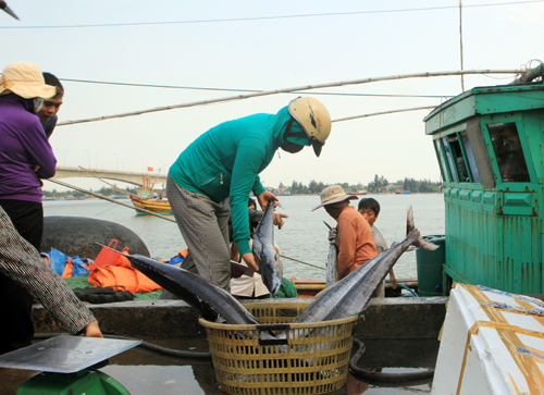 Làm sạch biển miền Trung như thế nào? ảnh 1